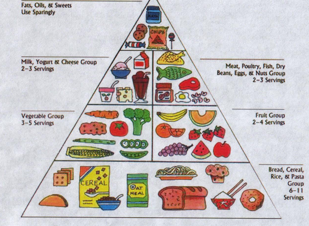 Spanish Food Chart